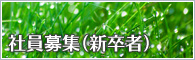 社員募集（新卒者）